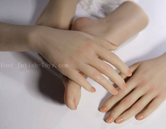 display hand model